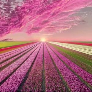 Meet your Posher, Lexi